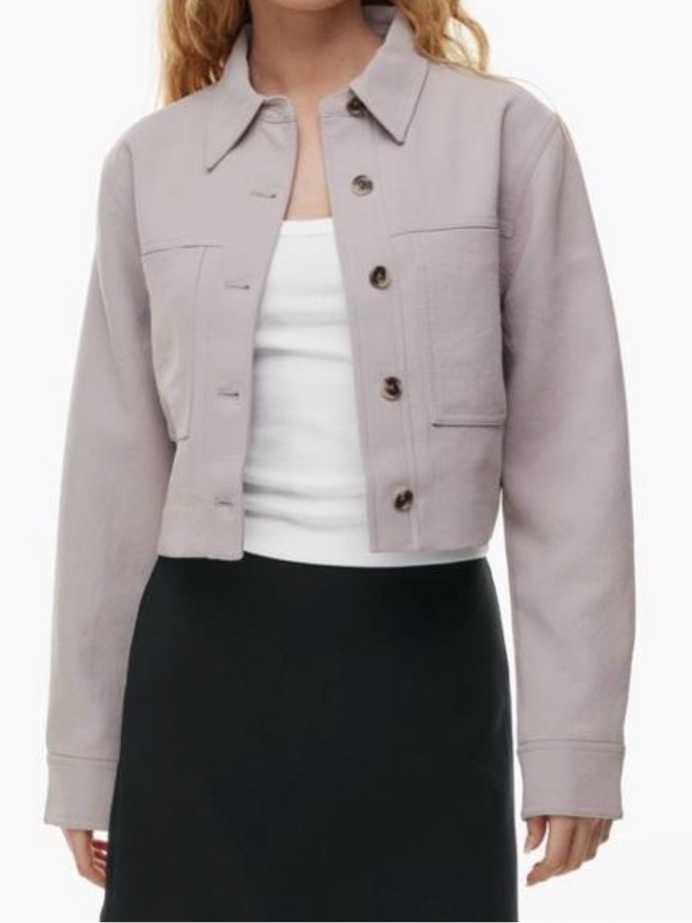 Aritzia Crepe Cropped jacket - Taupe